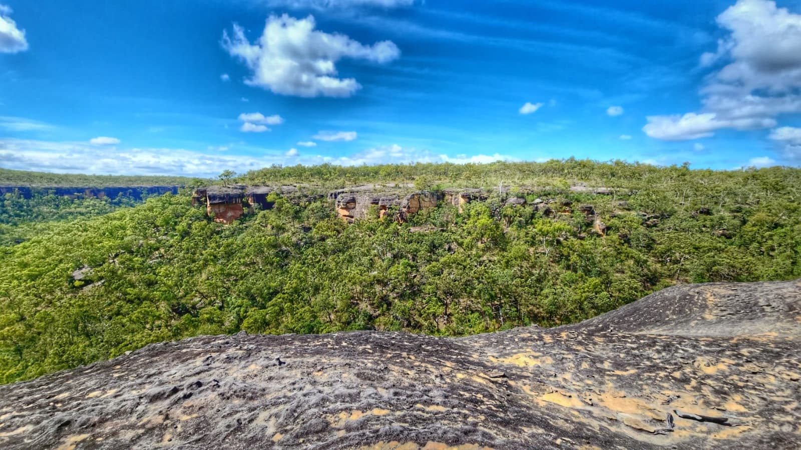 High Country Background